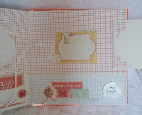 Альбом про 1-й год жизни