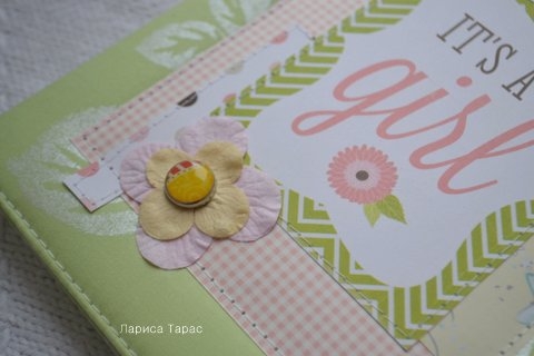 Папочка для свидетельства о рождении