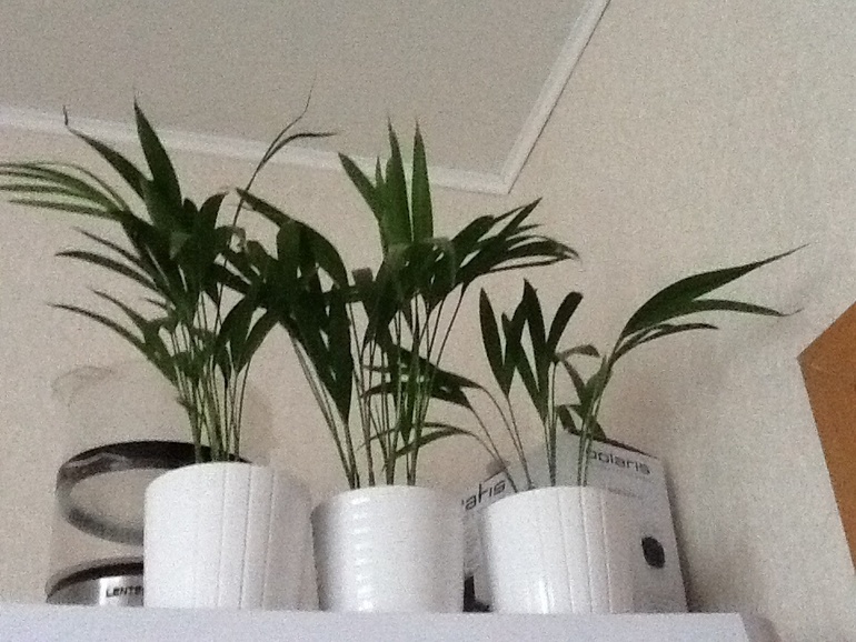 Пост-опоздун 14-15/74