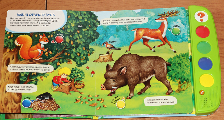 Наши любимые игрушки (очень очень много фото)