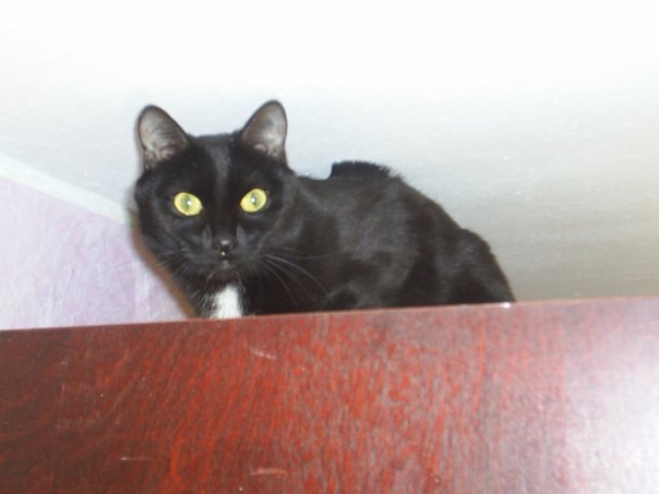 А вы стирали так сказать посторонние предметы?