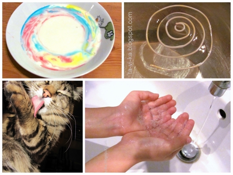 Занятие в "Клубе почемучек": Как звери умываются без воды и мыла ?