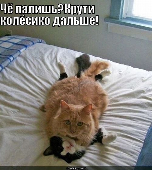 Девочки отвлекаемся и поднимаем настроение !!!!!