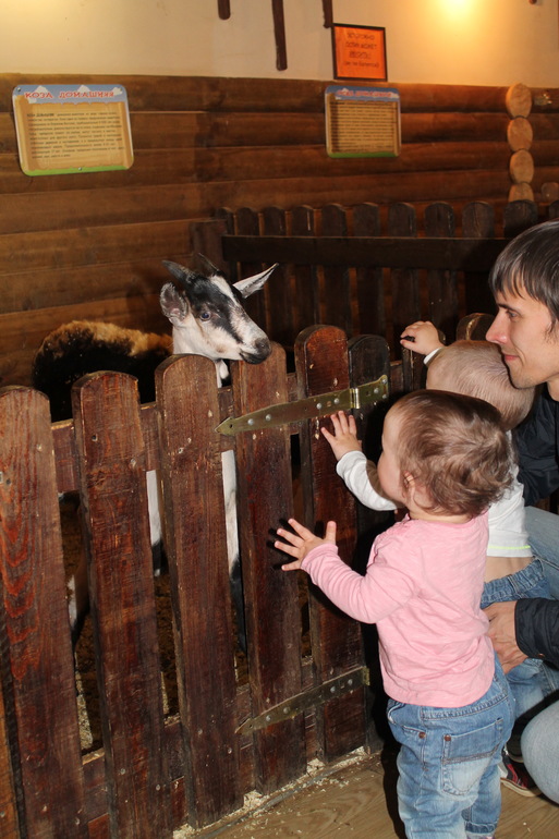 Двойняшки в зоопарке)))