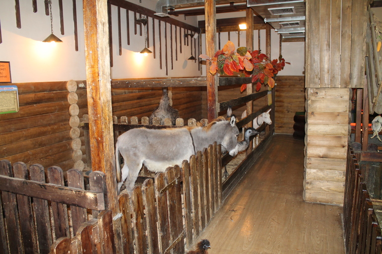 Двойняшки в зоопарке)))