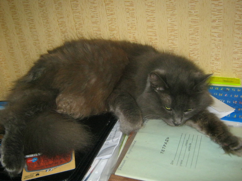 Моя старушка.