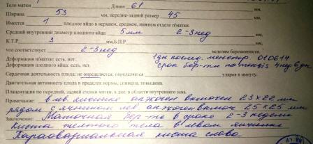 Первое УЗИ в 5 недель