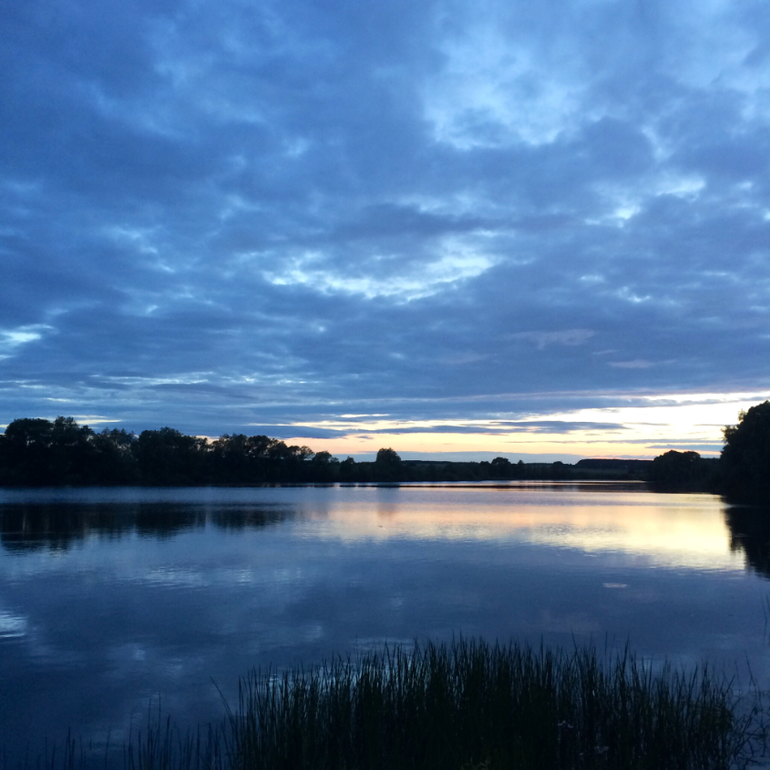 Июньские дачные фото зарисовки :)