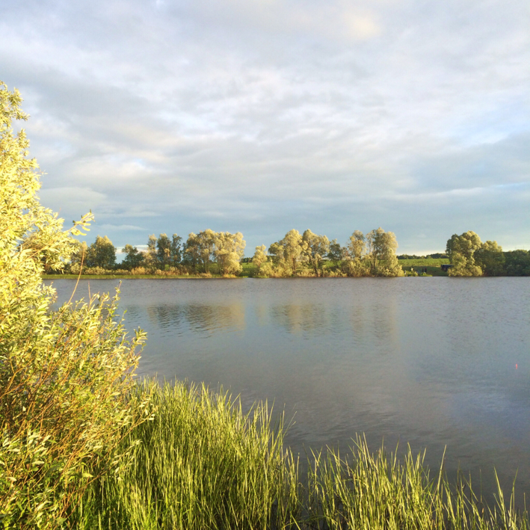 Июньские дачные фото зарисовки :)