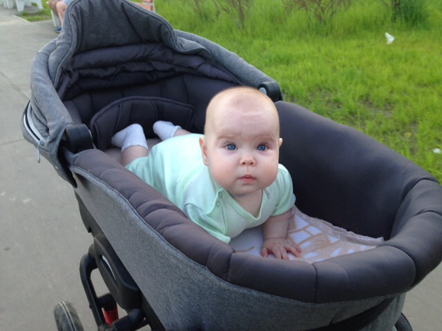 Коляска GB С959 (2в1) про люльку