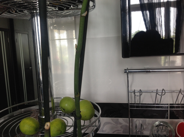 Знающие подскажите пожалуйста.