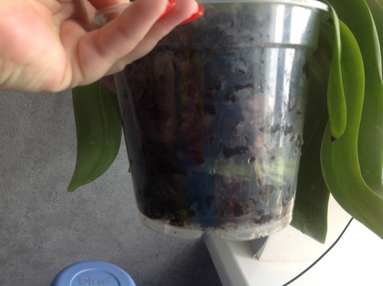 Знающие подскажите пожалуйста.