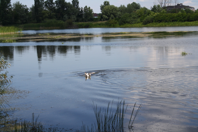Прошедшая неделька! )))