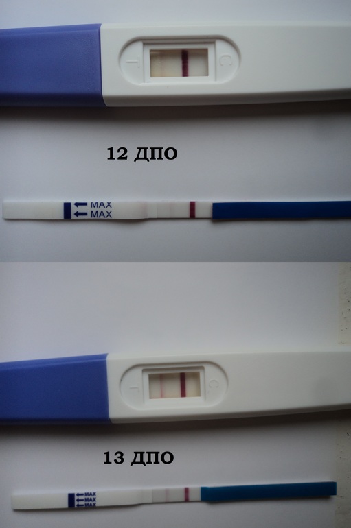 Вот и мои в копилочку! )))