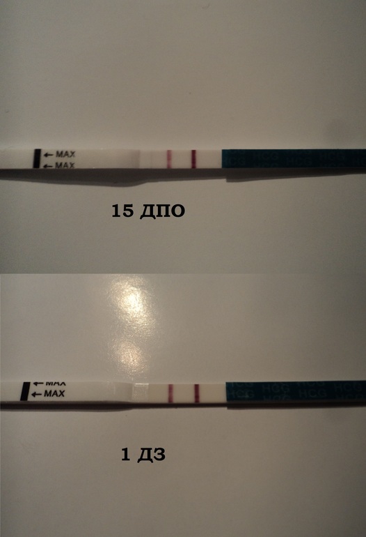 Вот и мои в копилочку! )))