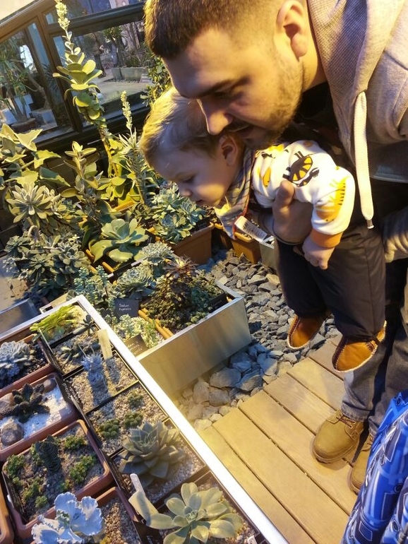 экзотическая зима г. Москва Ботанический сад МГУ