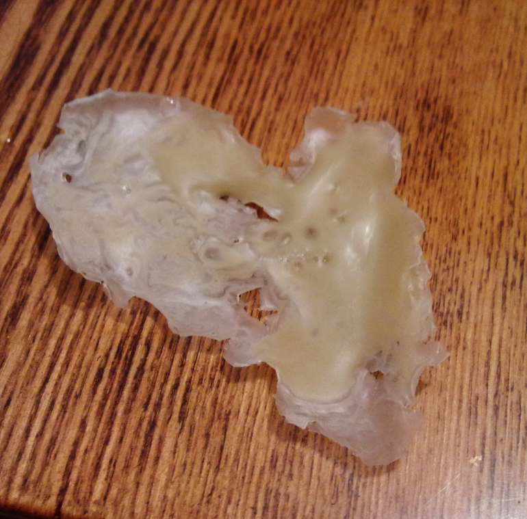 Рождественская неделя