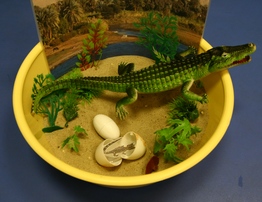 Задания к тематическому занятию