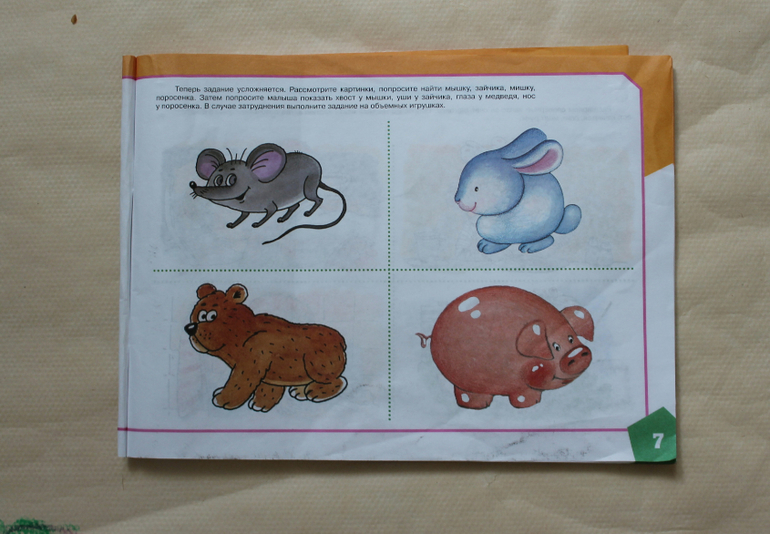 ТЗ ПОРОСЁНОК