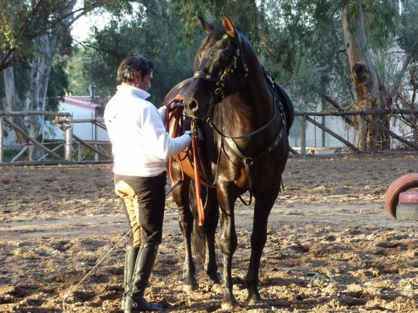 Верховая езда