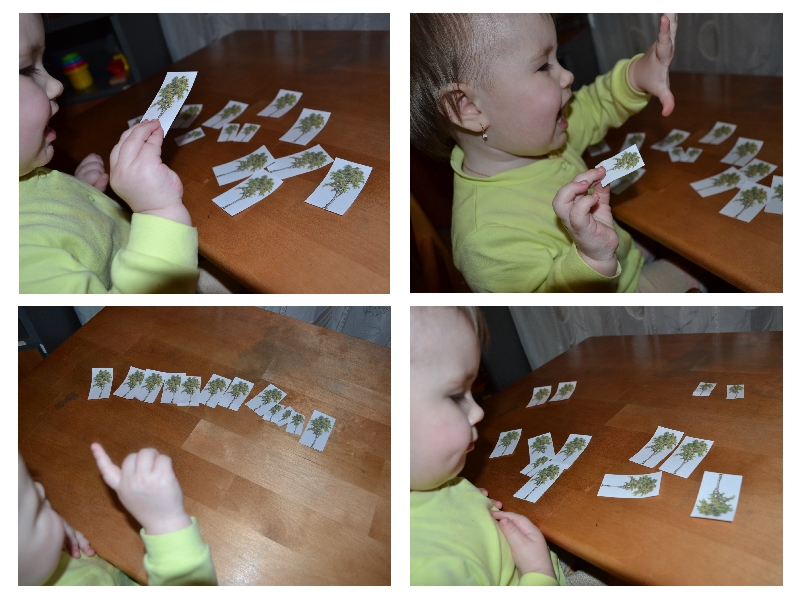 ТН "Деревья" день 1 - лиственные деревья