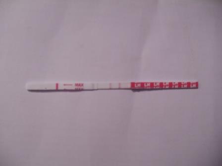 это она овуляция?(фото не очень)