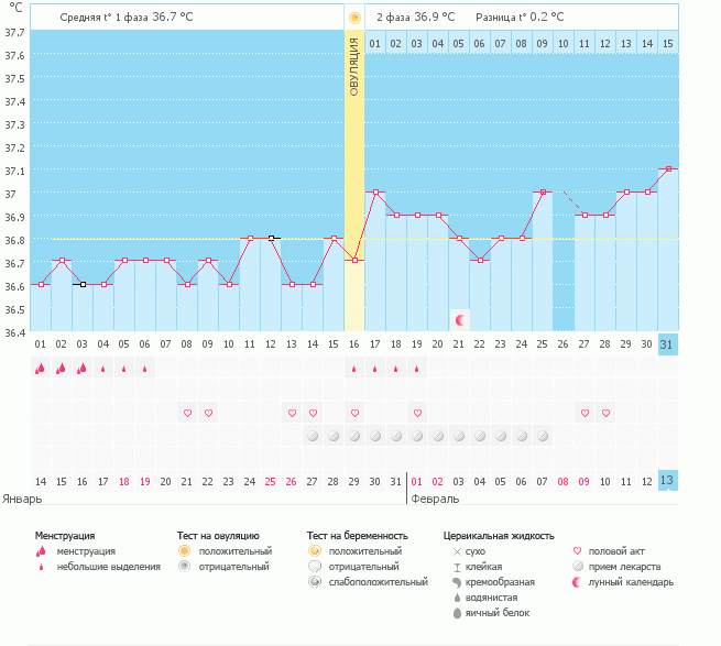 ДЕВОЧКИ SOS!!!