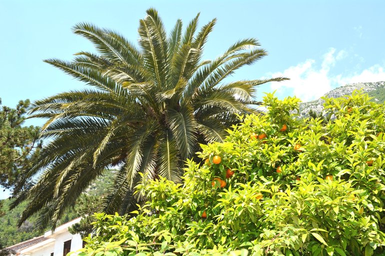 Отдых в Черногории - рай из которого не хочется возвращаться!!!