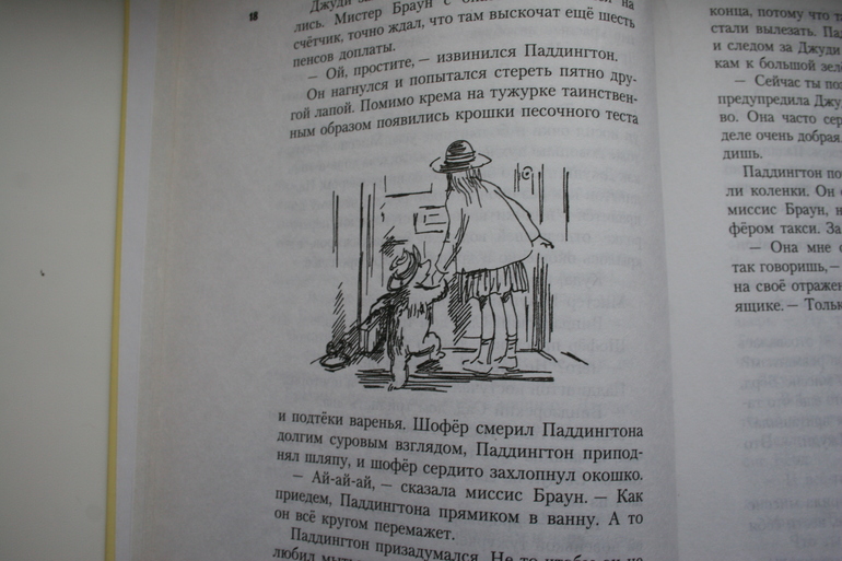 Медвежонок Паддингтон теперь мой!!