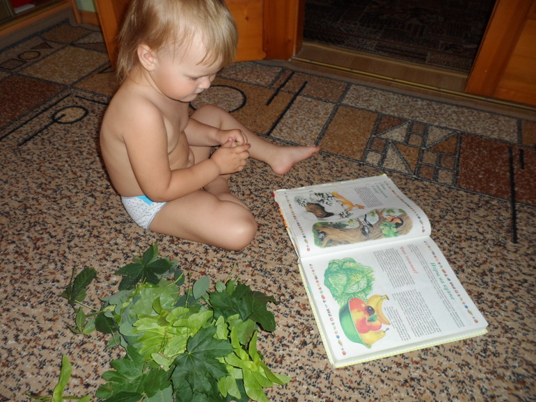 ТЗ Деревья, 2.5