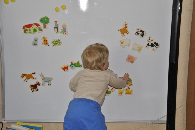 Сашкины радости или чудеса из лавочки. Год первый.