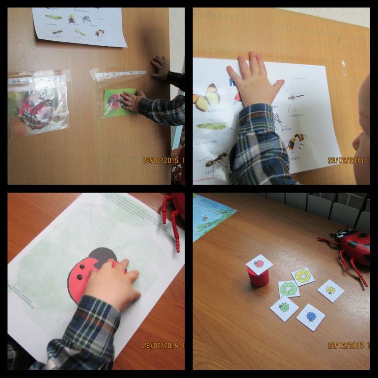 ТН Насекомые. День 4.