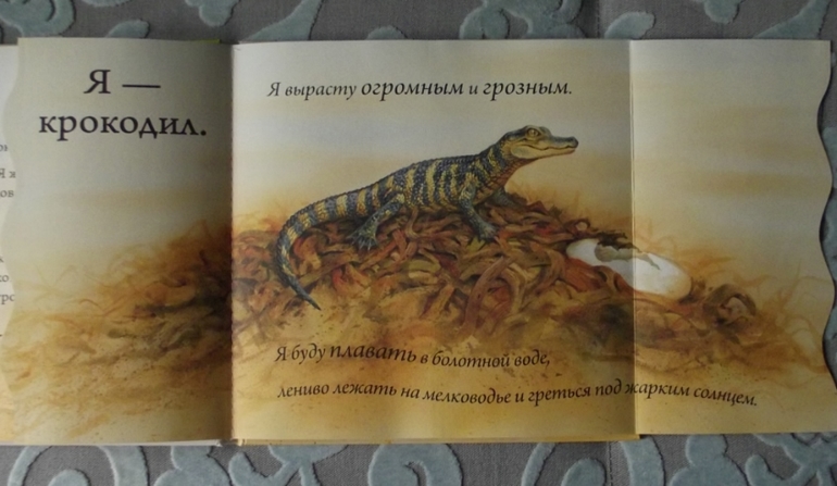 Кто спрятался? Иллюстрации Гая Троутона.