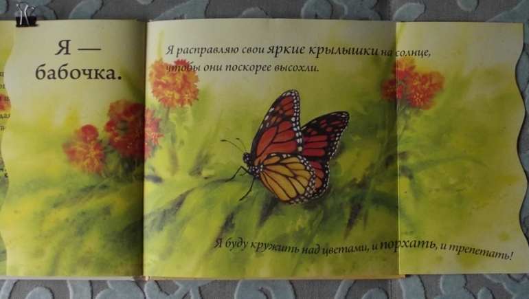 Кто спрятался? Иллюстрации Гая Троутона.