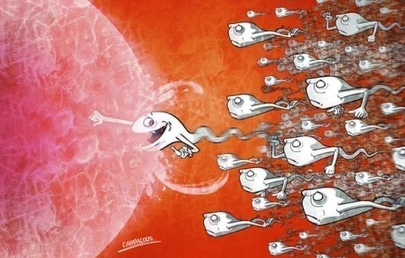 Выше нос, девочки!