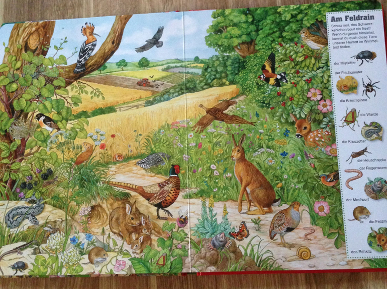 Большая книга Анны Сьюс