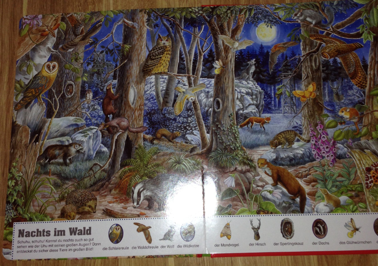 Большая книга Анны Сьюс