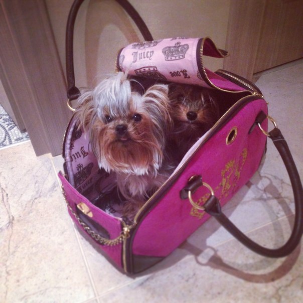 Все готовы)))