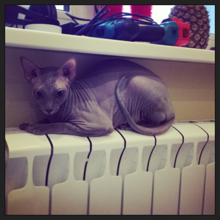 Девочки мои))