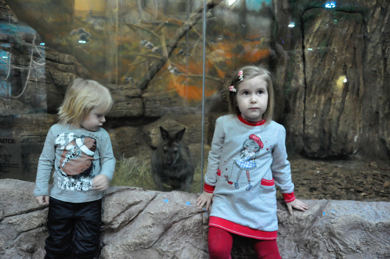 Сходили в океанариум в РИО