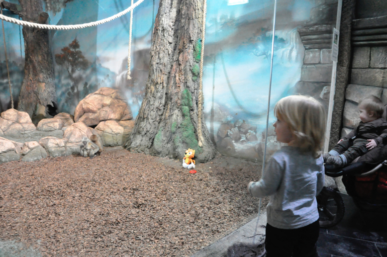 Сходили в океанариум в РИО