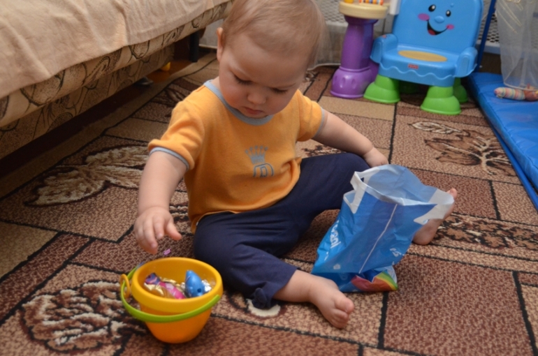 Отчет по ФМ "Домашние любимцы" - День 2 "Котята"