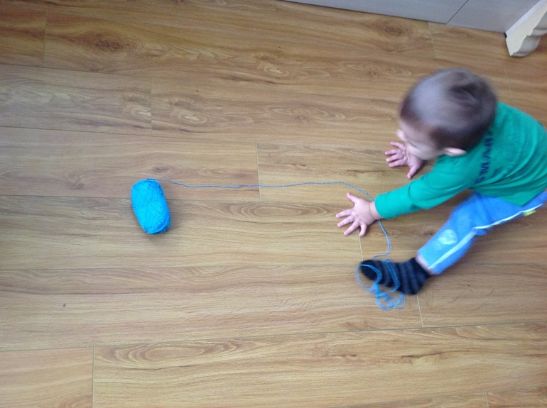 ФМ "Домашние животные". День третий. Кошка.