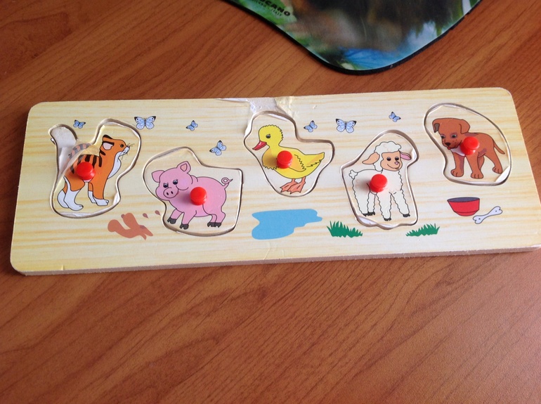 ФМ "Домашние животные". День шестой. Обобщающий.