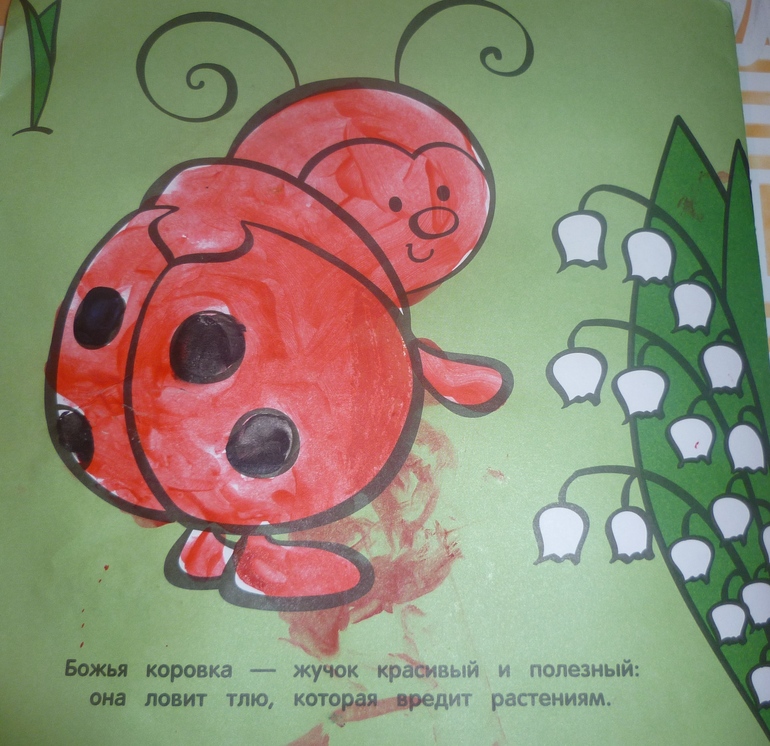 ТН Насекомые