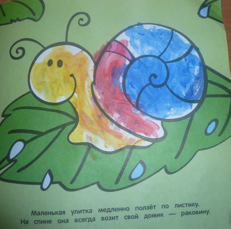 ТН Насекомые