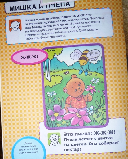 ТН Насекомые