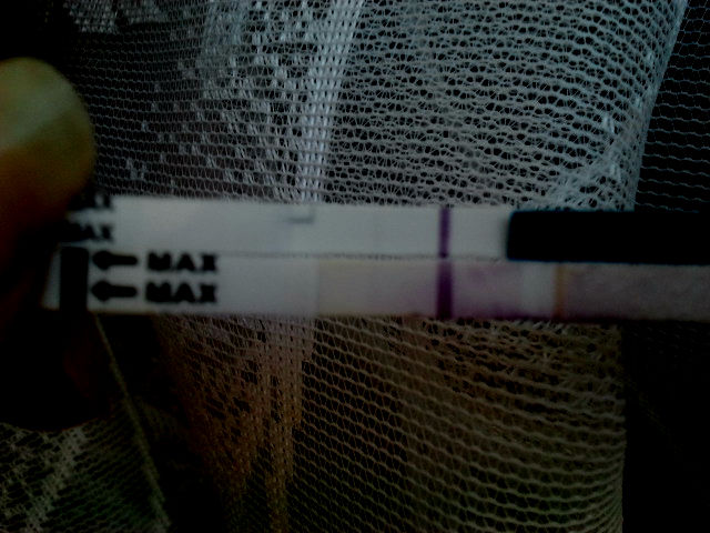 В продолжение поста: Sos!!! Тесты, ХГЧ, прогестерон!!!!