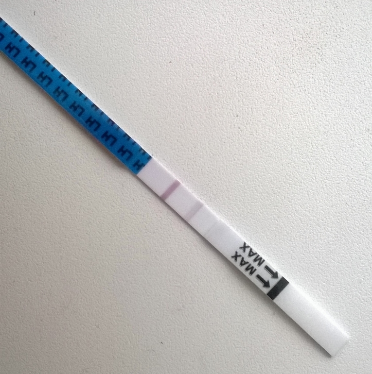 Мой последний тестик на овульку... И что теперь думать?