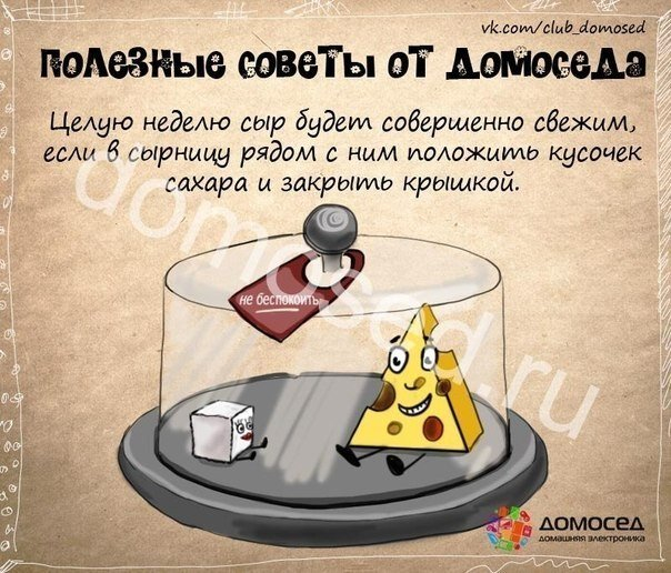 Полезные советы  от домоседа